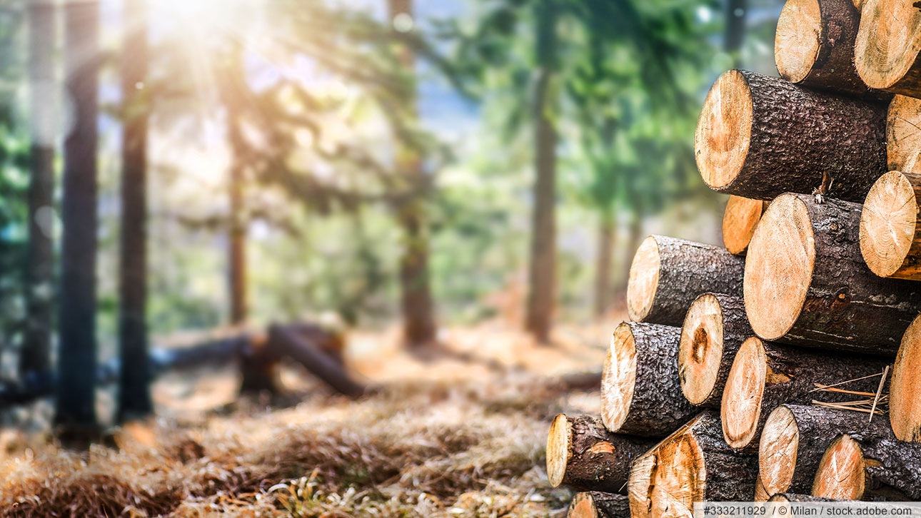 Holzhaustüren von Brauckhoff